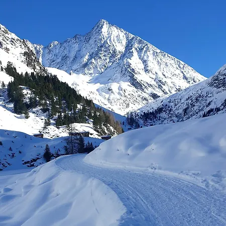 Ferienapart Bergstille 3* Лангенфельд