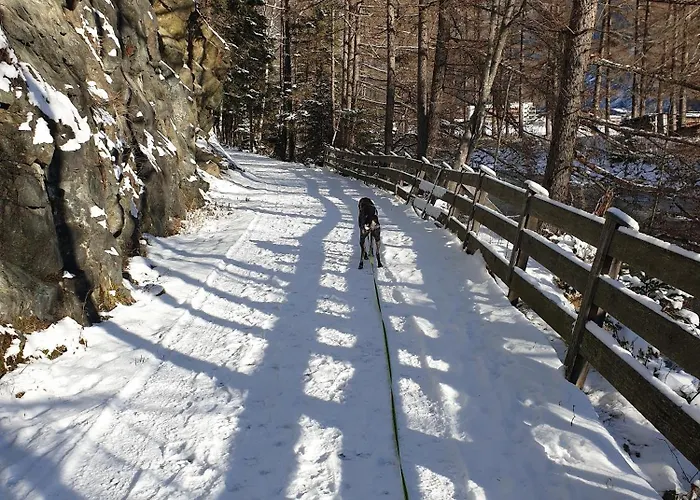 Ferienapart Bergstille