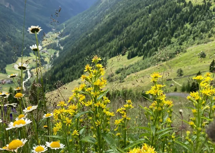 Ferienapart Bergstille Pensión Längenfeld
