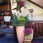 בית הארחה Ferienapart Bergstille לאנגנפלד